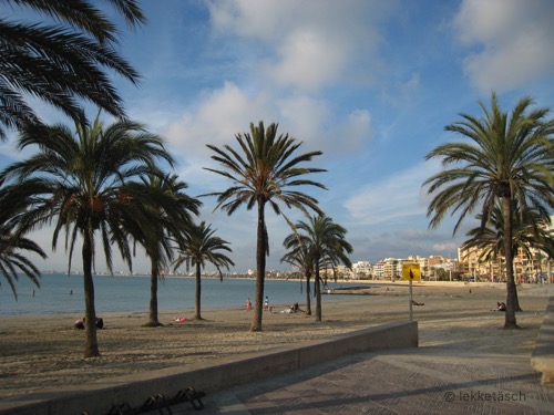 KT Mallorca 2009 10.jpg