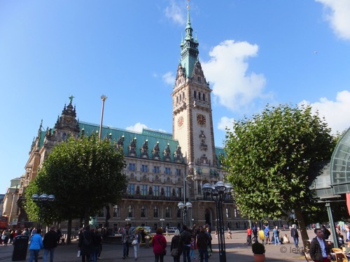 KT St Pauli 2014 12.jpg